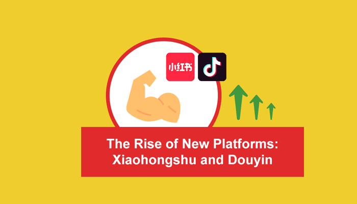 chinese Digital platforms for overseas dmcs width=